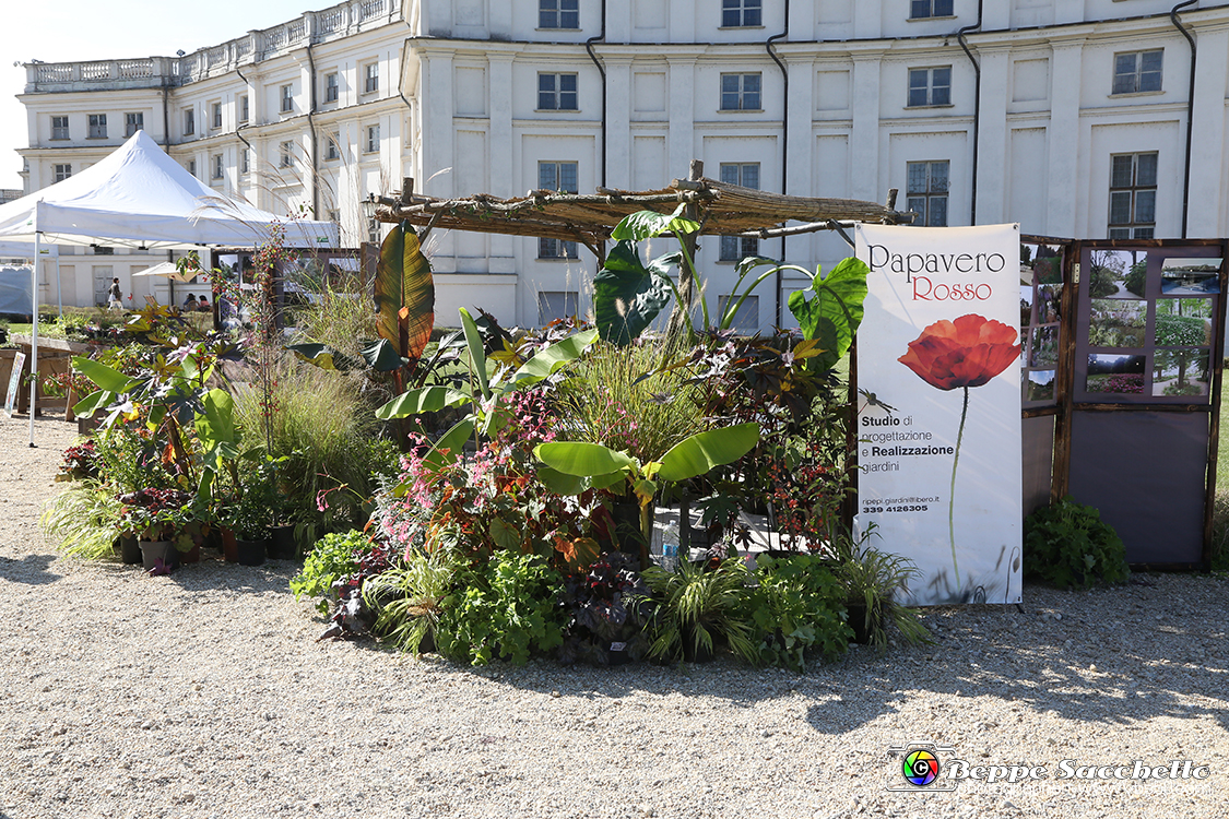 VBS_2388 - FloReal 2021 alla Palazzina di Caccia di Stupinigi.jpg
